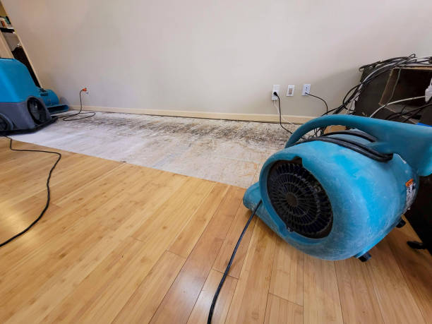 Professional Structural Drying technician working in Los Alamitos, CA